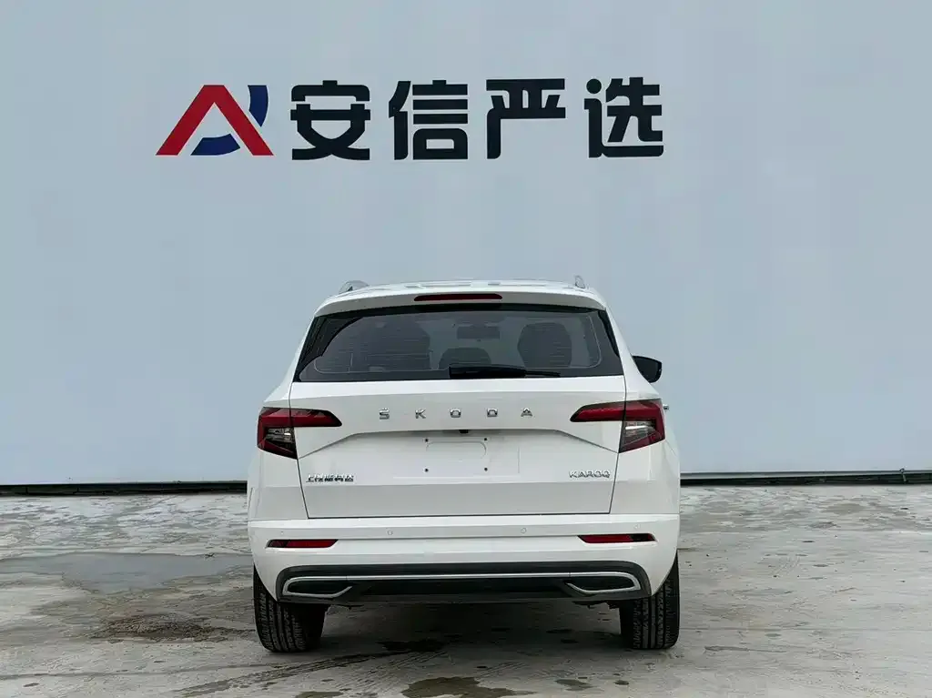 Skoda Karoq — фото 7