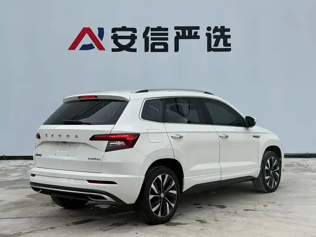 Skoda Karoq — фото 9