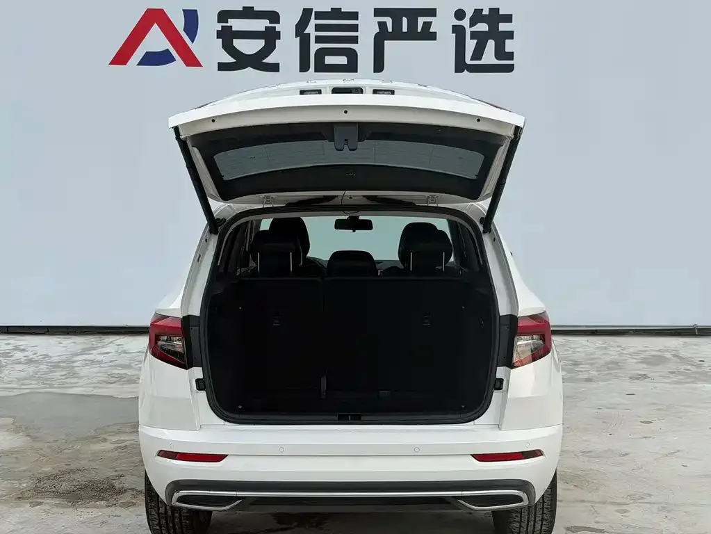 Skoda Karoq — фото 8