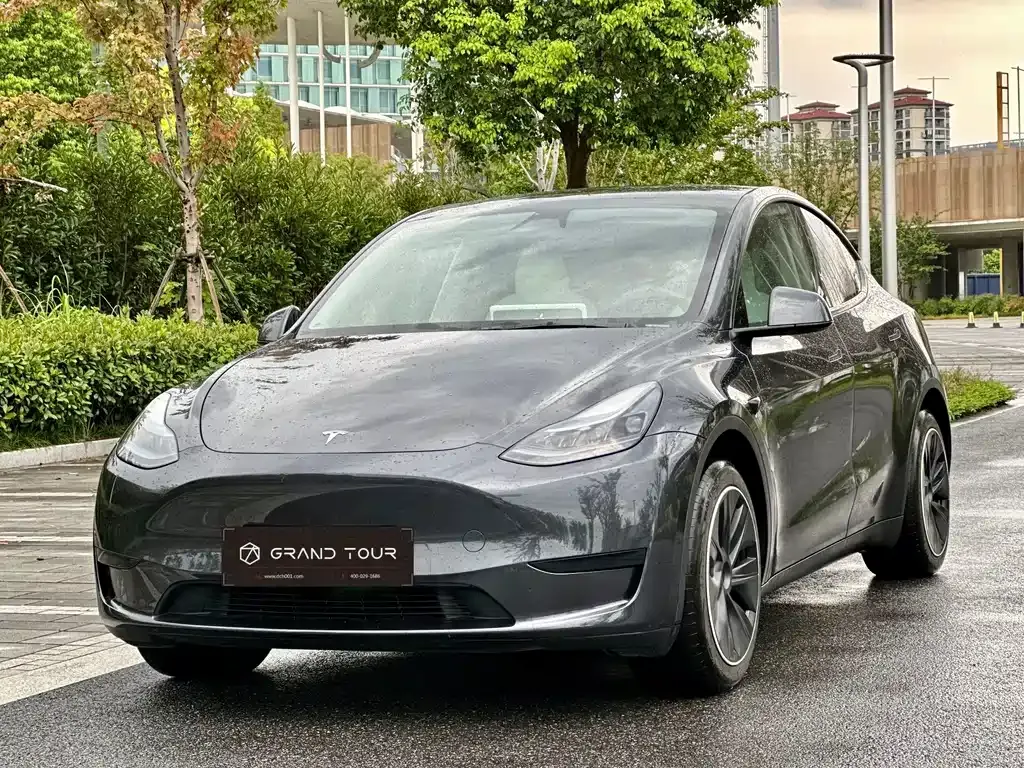 Tesla Model Y — фото 1