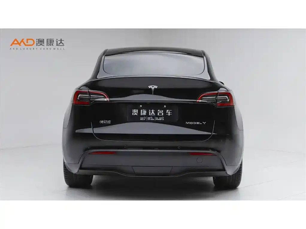 Tesla Model Y — фото 10
