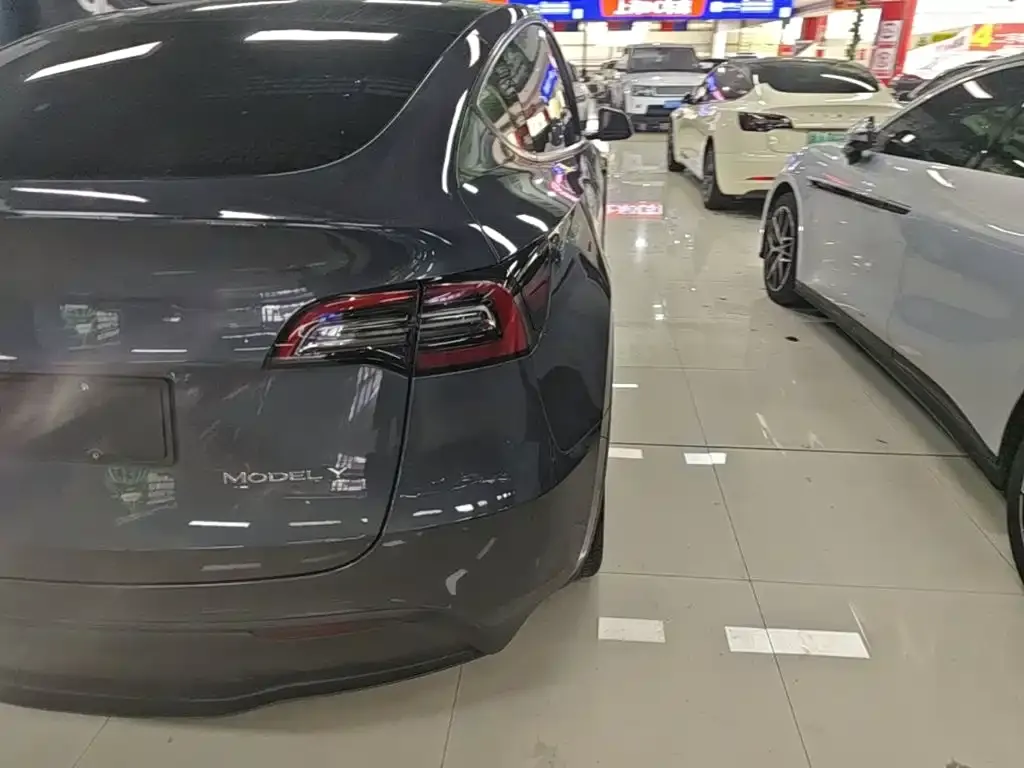 Tesla Model Y — фото 5