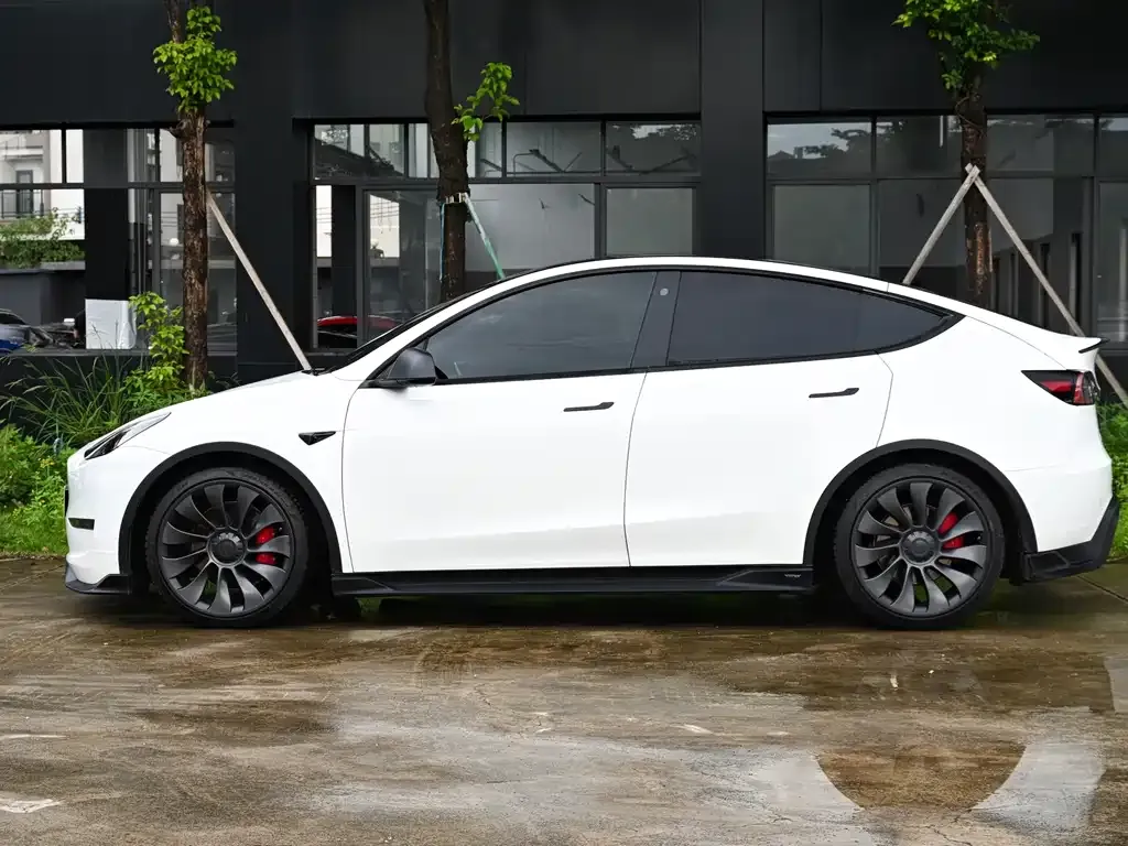 Tesla Model Y — фото 10