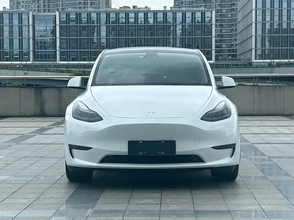 Tesla Model Y — фото 8