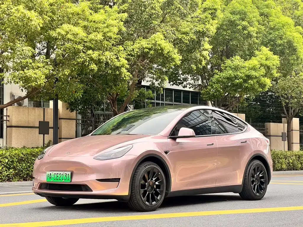 Tesla Model Y — фото 1
