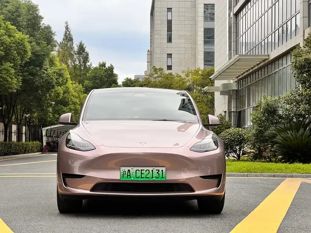 Tesla Model Y — фото 3