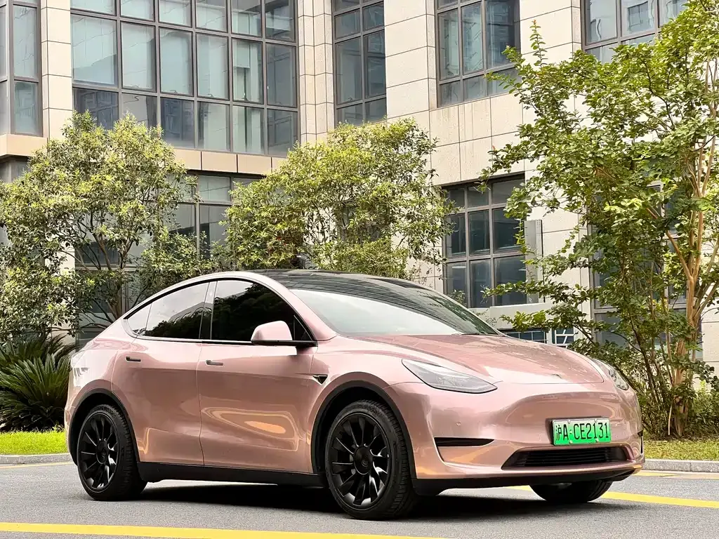 Tesla Model Y — фото 10