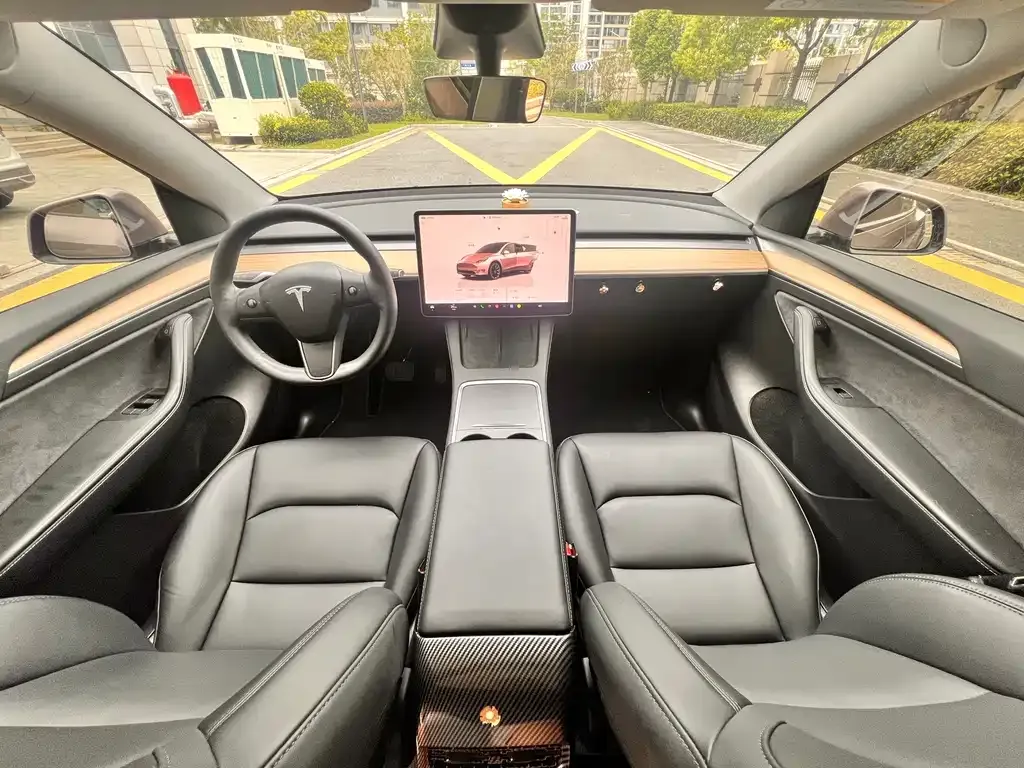 Tesla Model Y — фото 9