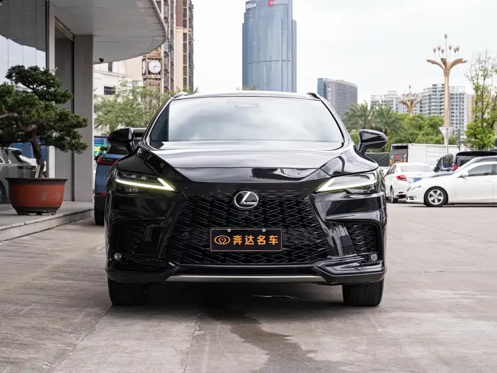 Lexus RX — фото 10