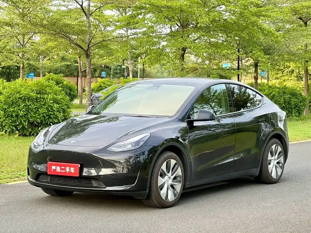 Tesla Model Y — фото 1