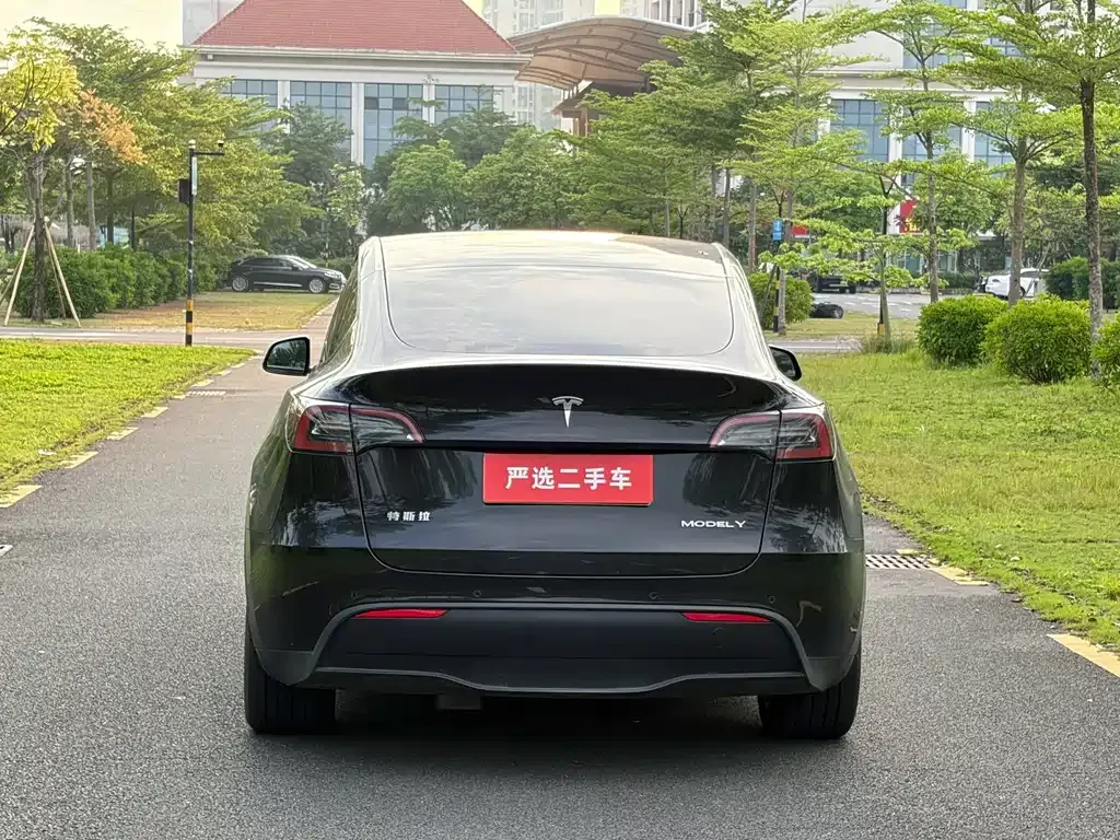 Tesla Model Y — фото 8