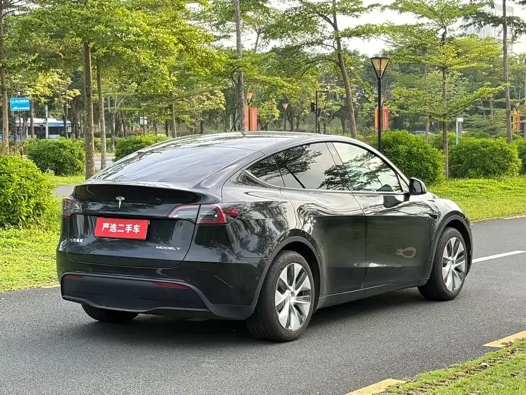 Tesla Model Y — фото 9