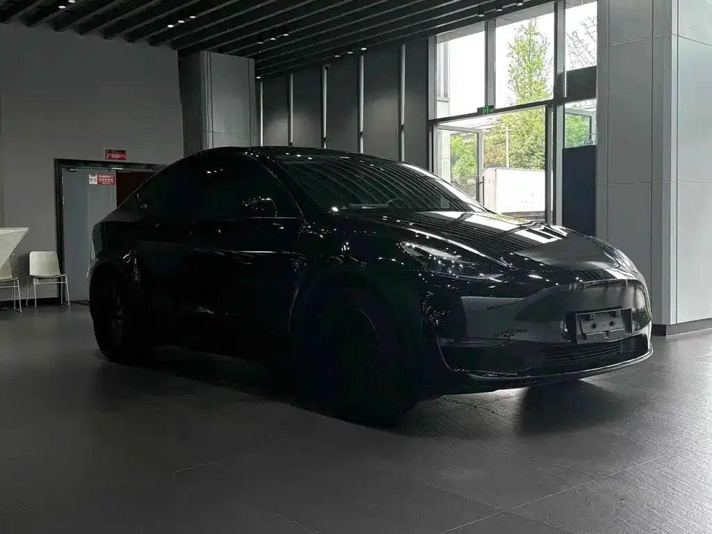 Tesla Model Y — фото 2