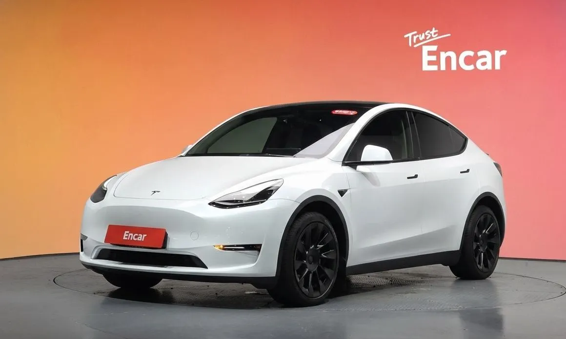Tesla Model Y — фото 1