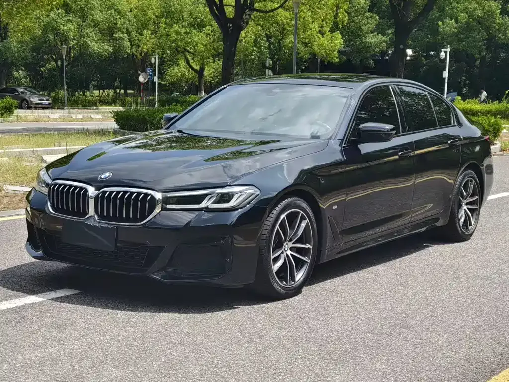 BMW 5 Series (Import) — фото 1