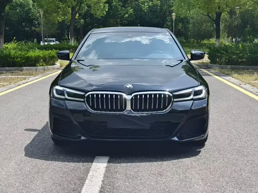 BMW 5 Series (Import) — фото 6
