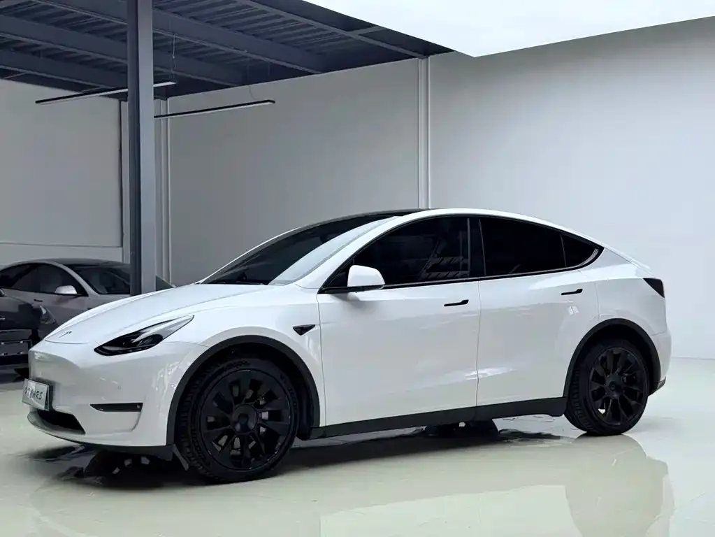 Tesla Model Y — фото 2