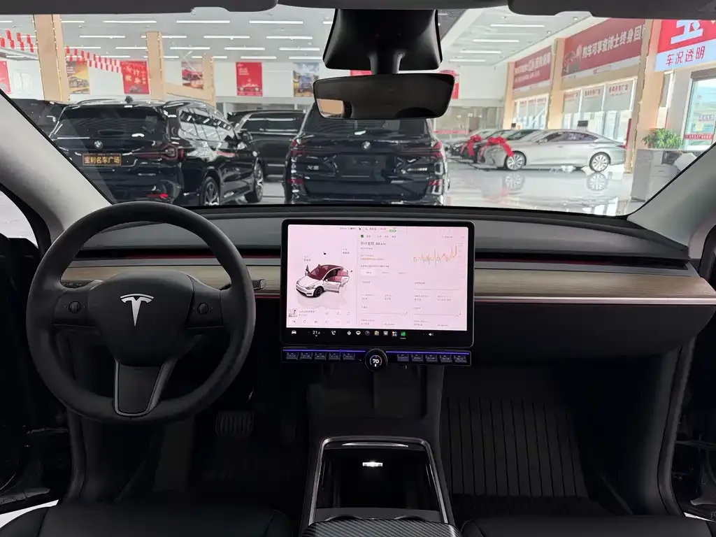 Tesla Model Y — фото 6