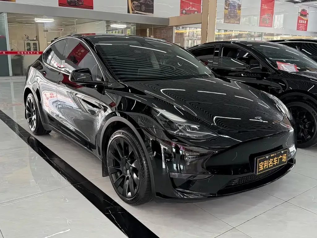 Tesla Model Y — фото 4