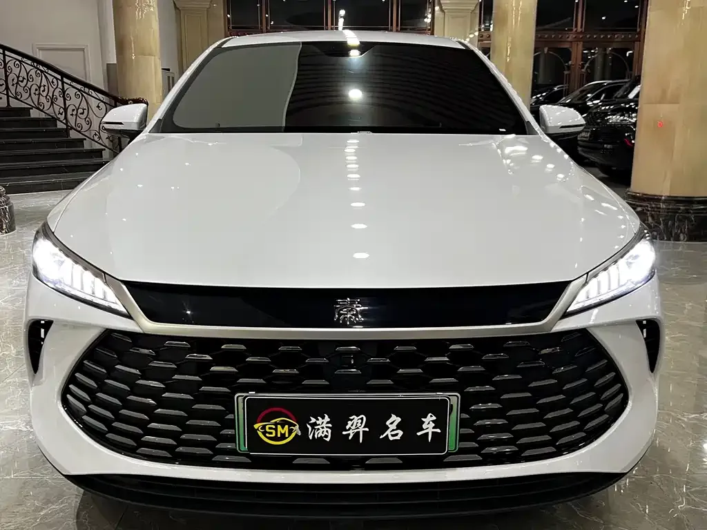 BYD Qin PLUS — фото 6