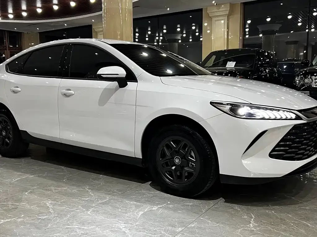 BYD Qin PLUS — фото 9