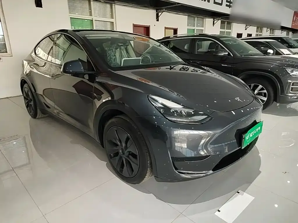 Tesla Model Y — фото 3