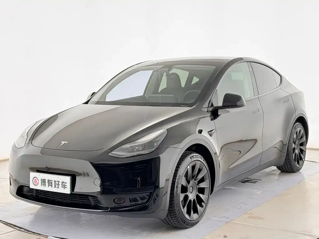 Tesla Model Y — фото 1