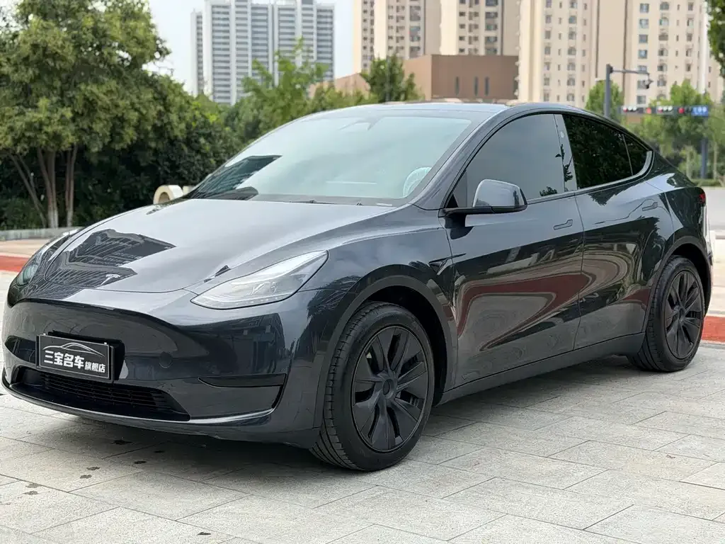 Tesla Model Y — фото 1