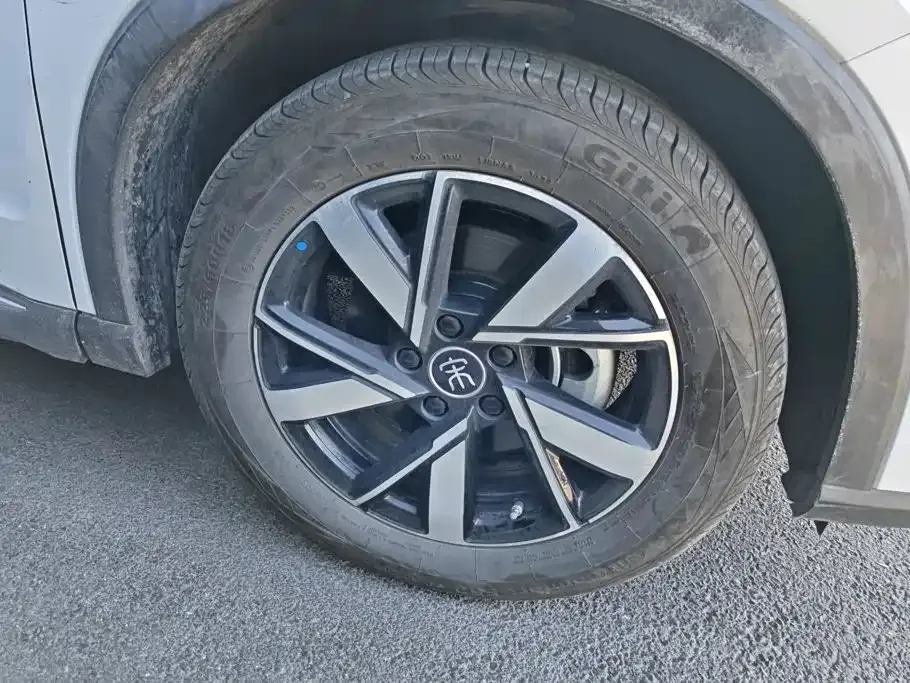 BYD Pro New Energy — фото 10