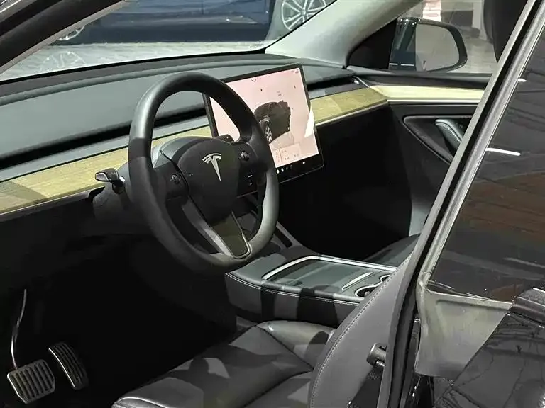 Tesla Model Y — фото 9