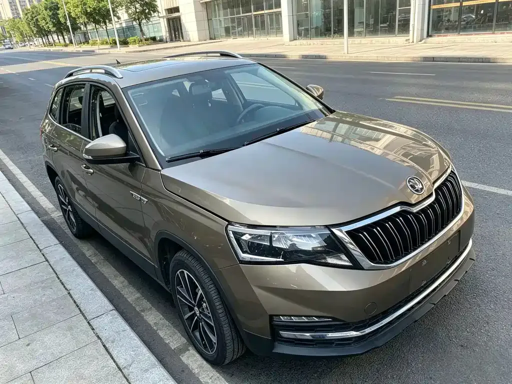 Skoda Kamiq — фото 8