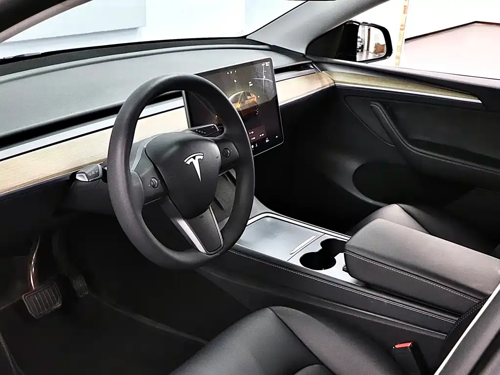 Tesla Model Y — фото 9
