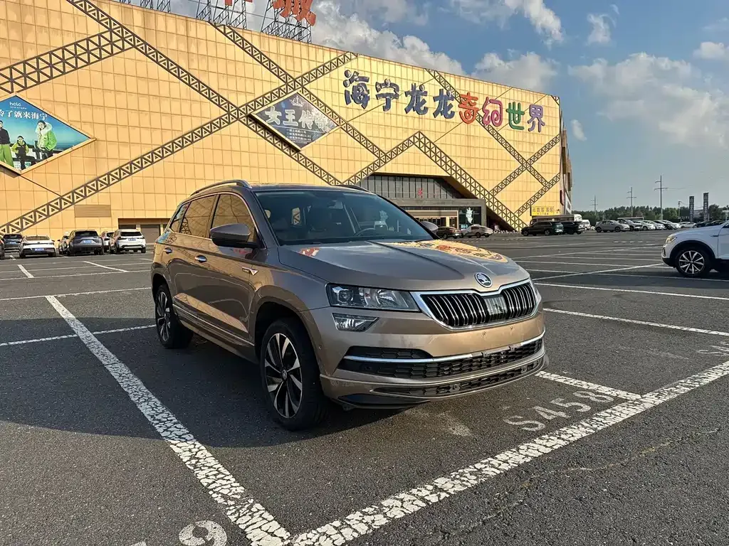 Skoda Karoq — фото 9