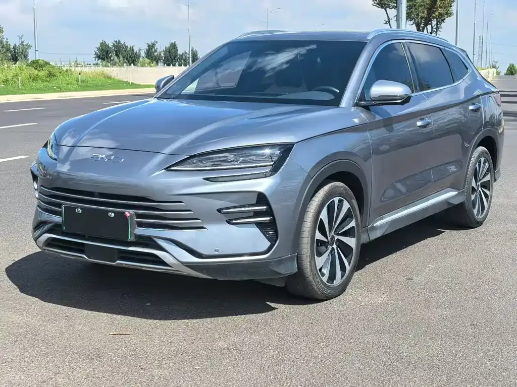BYD PLUS New Energy — фото 1