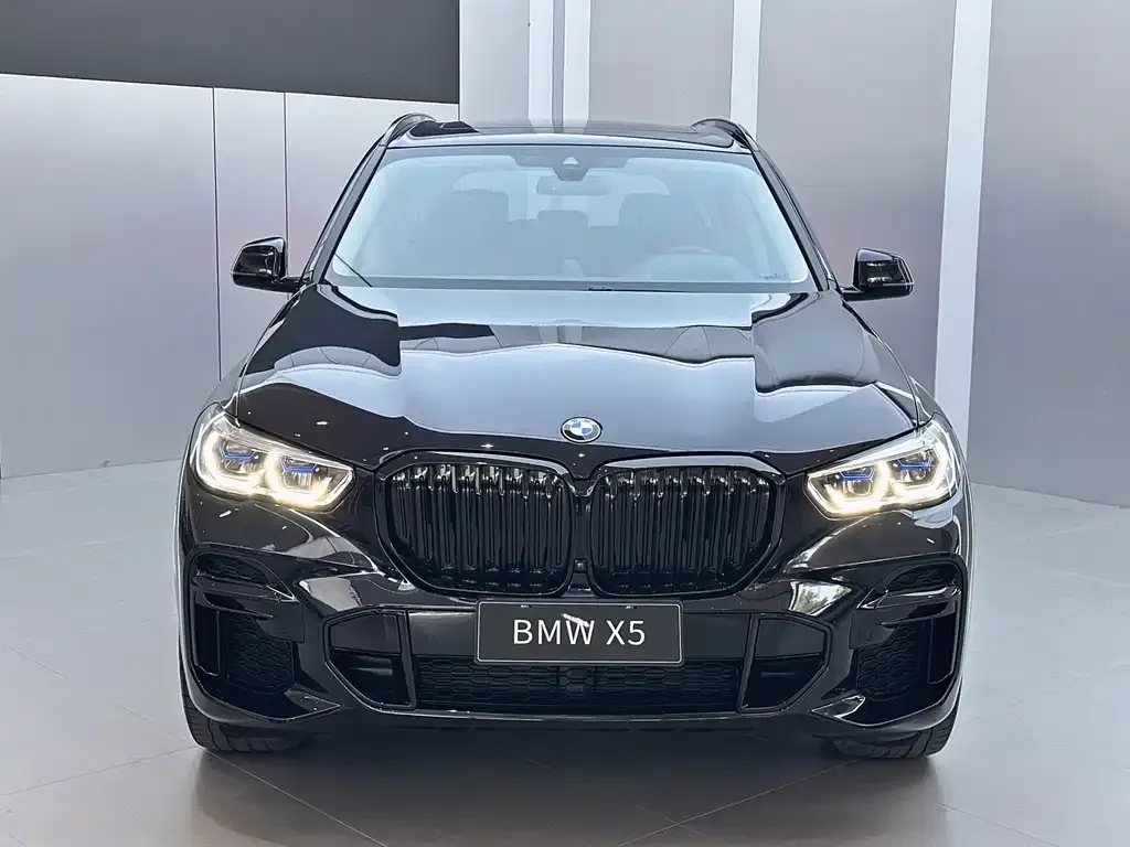 BMW X5 — фото 9