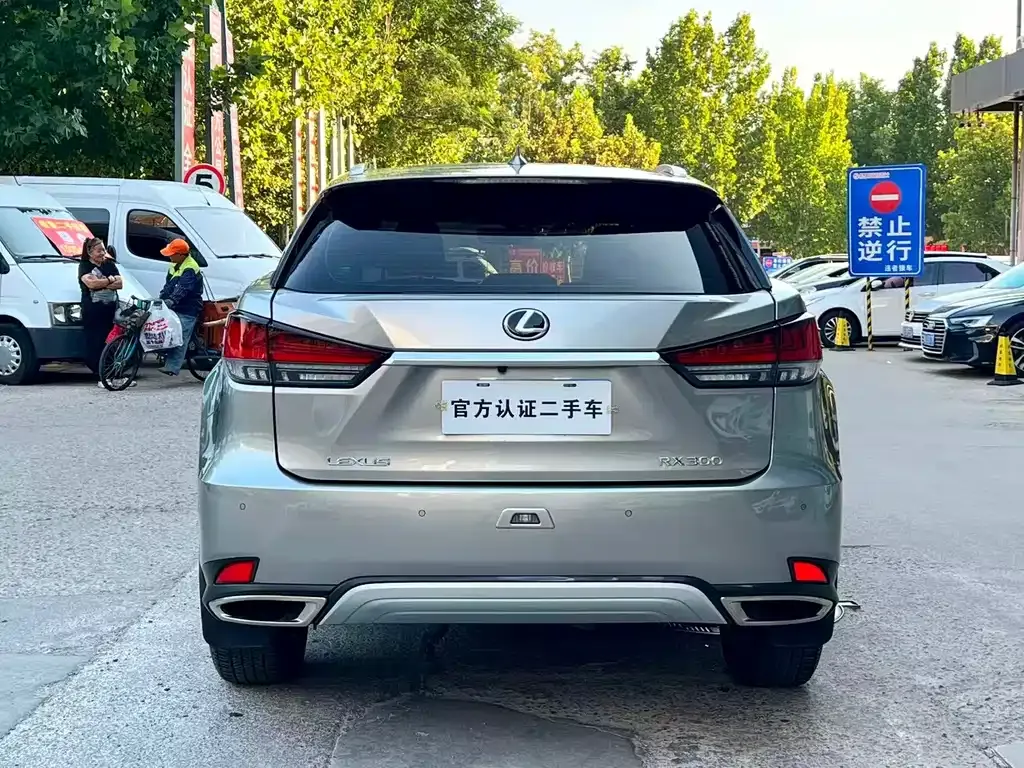 Lexus RX — фото 8