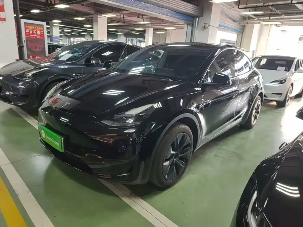 Tesla Model Y — фото 9