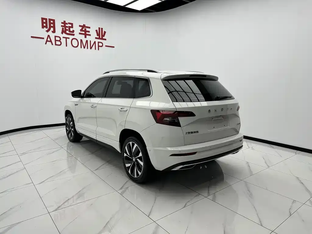 Skoda Karoq — фото 6