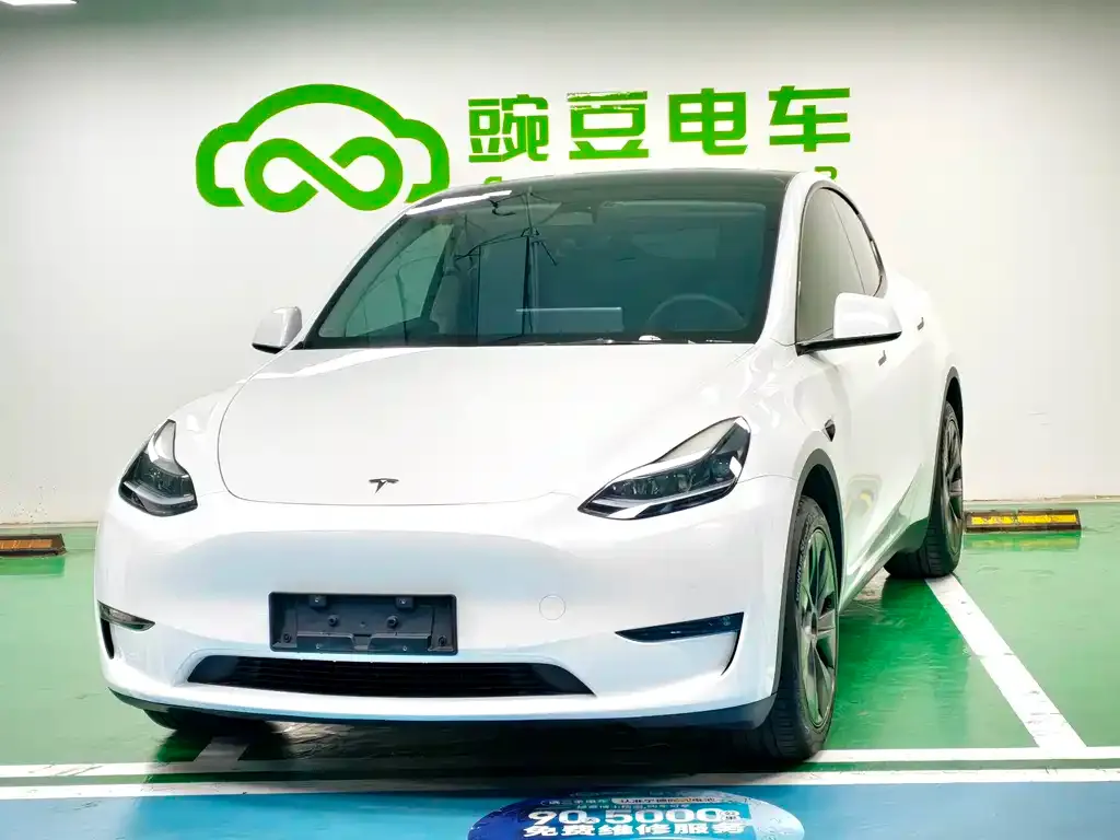 Tesla Model Y — фото 1