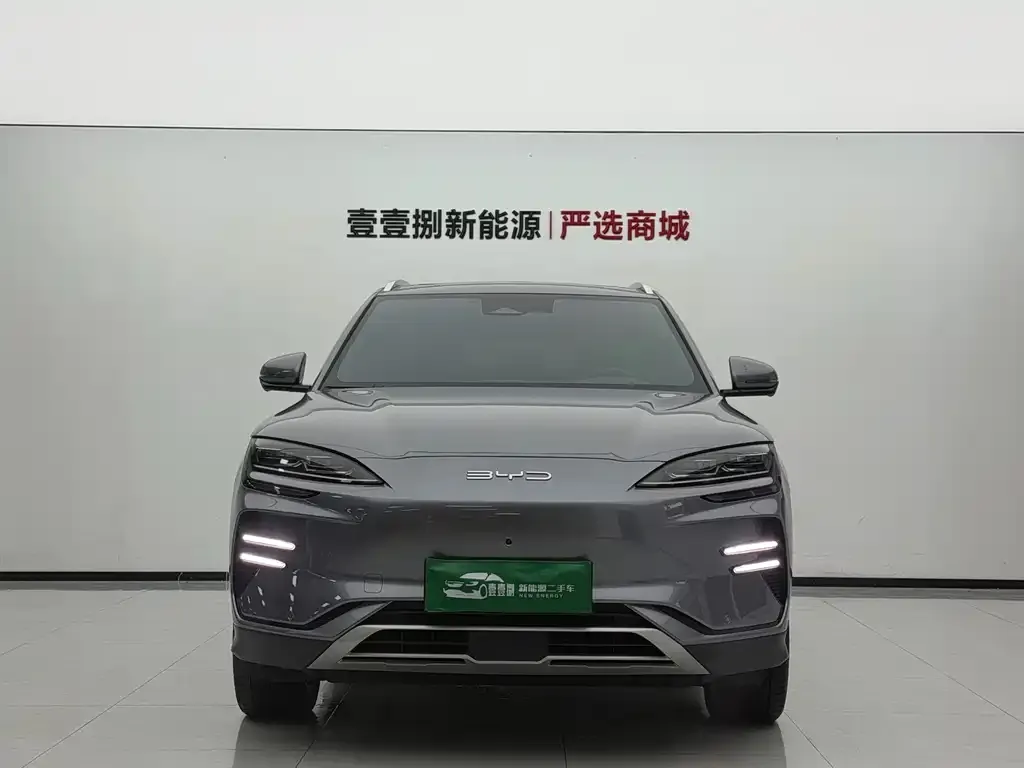 BYD PLUS New Energy — фото 2