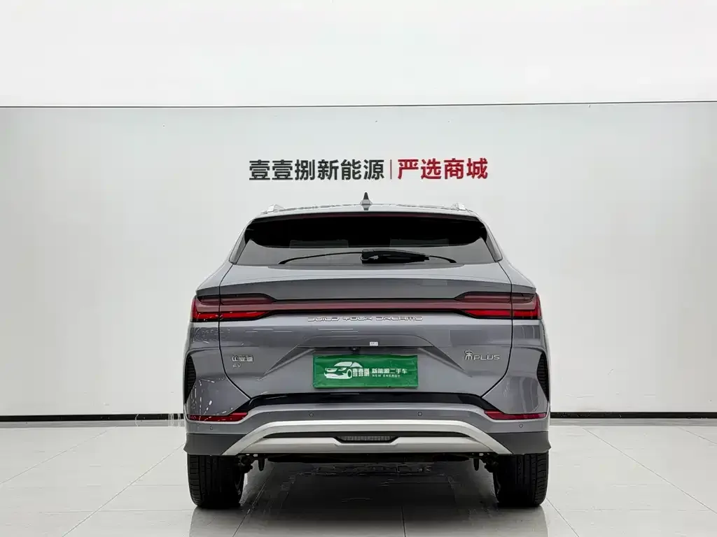 BYD PLUS New Energy — фото 4