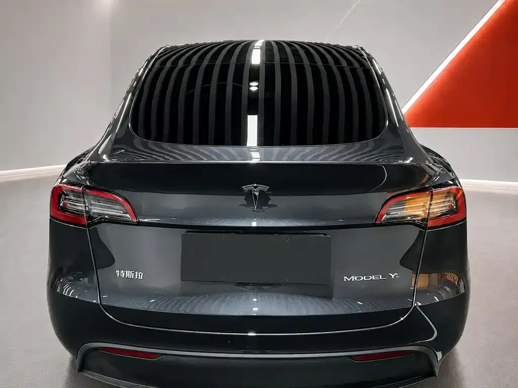 Tesla Model Y — фото 9