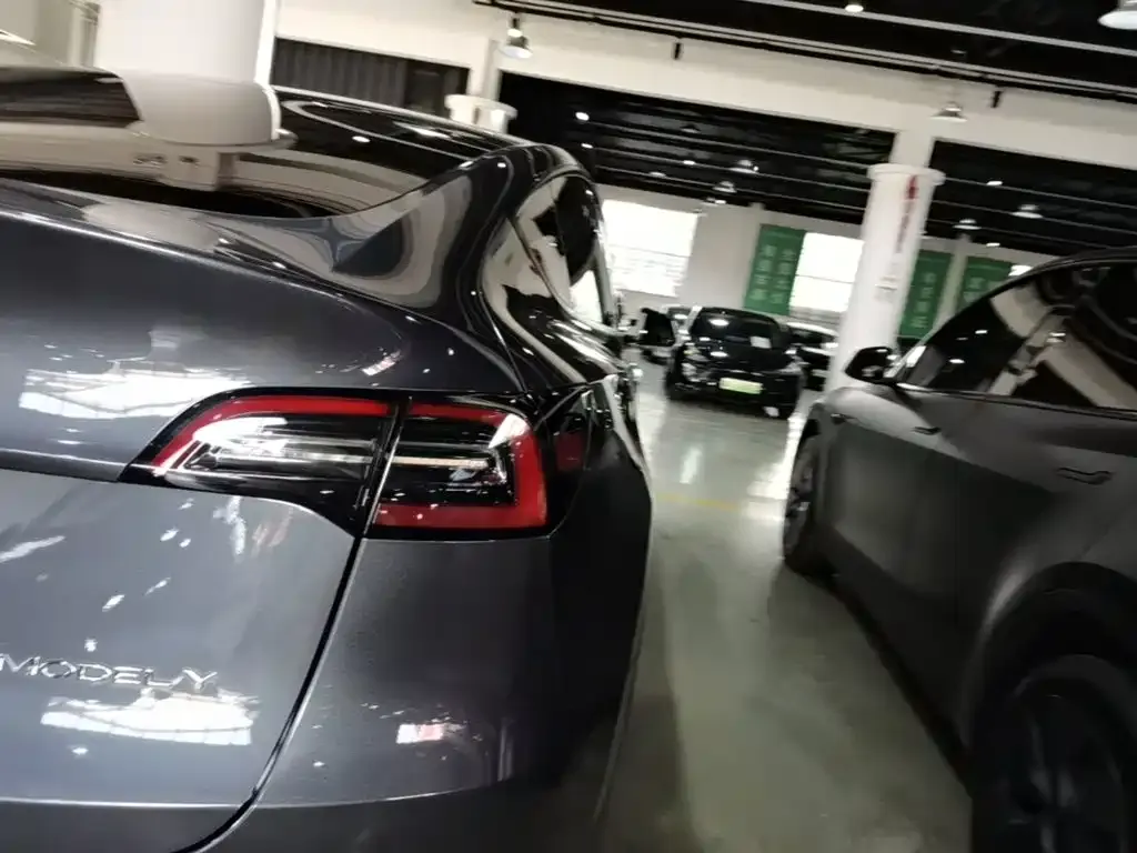 Tesla Model Y — фото 8