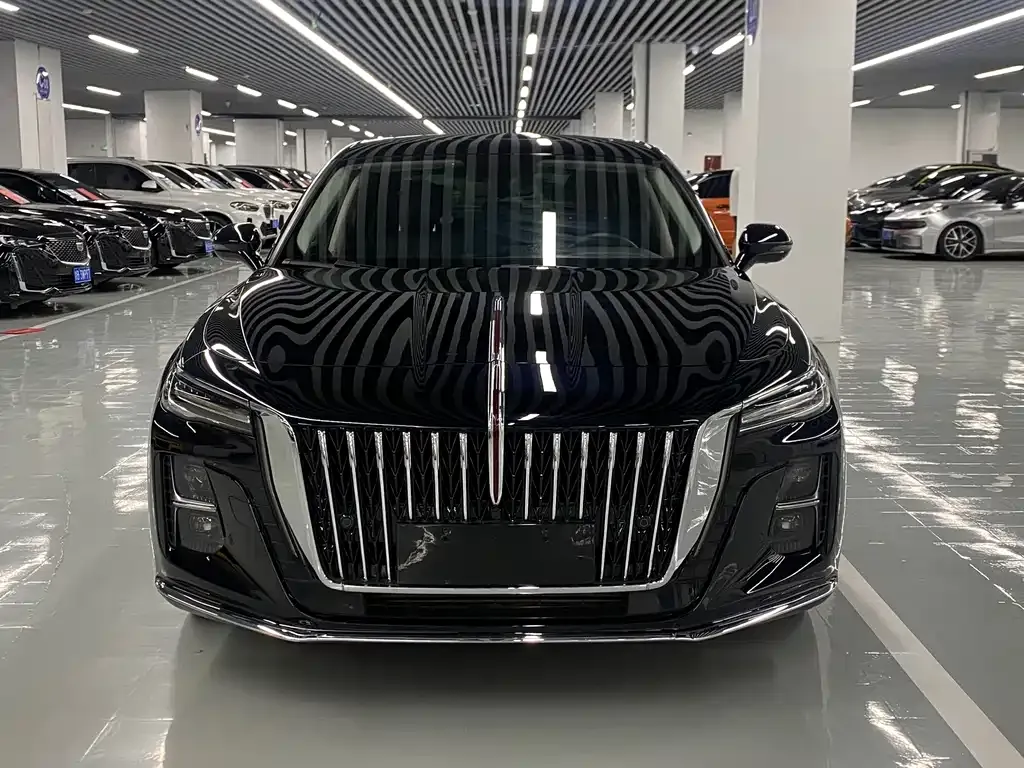 Hongqi H5 — фото 10