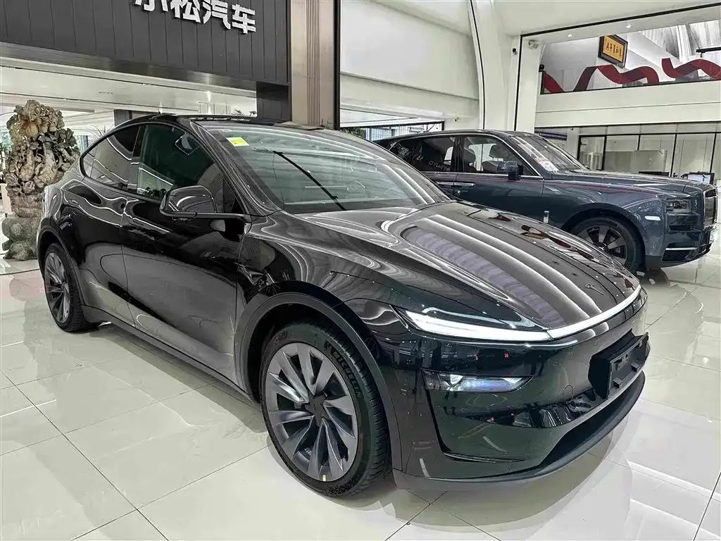 Tesla Model Y — фото 10