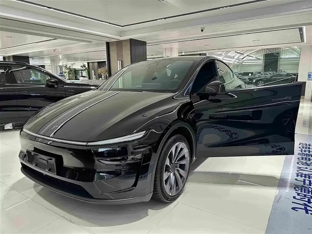 Tesla Model Y — фото 9