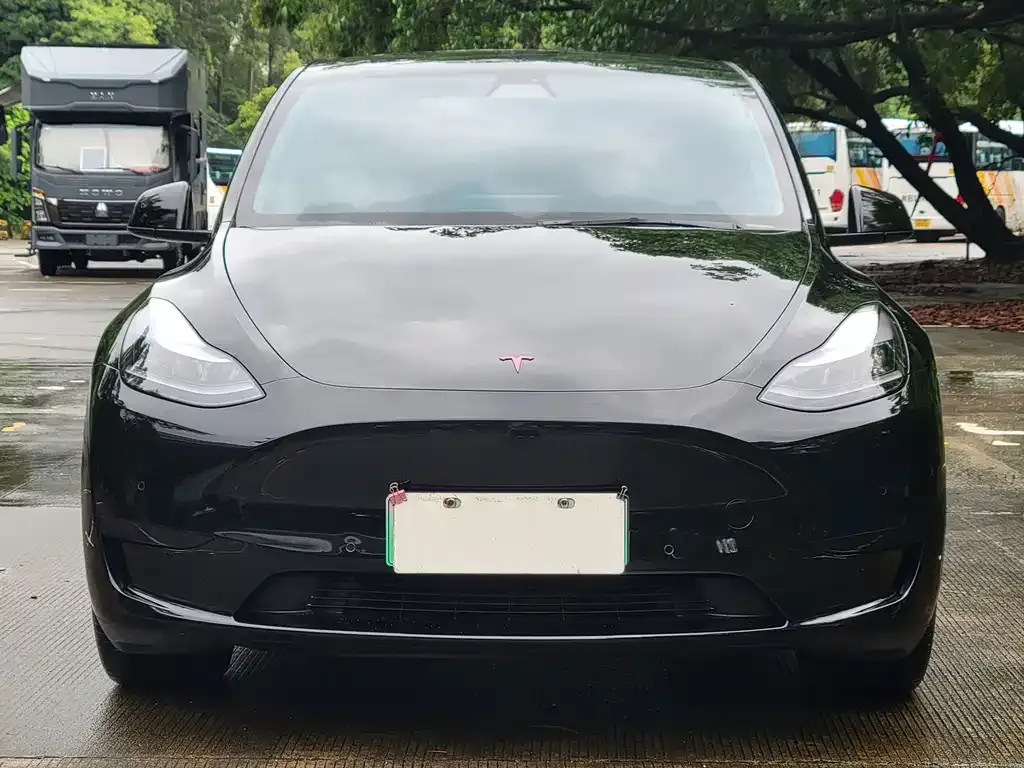 Tesla Model Y — фото 6