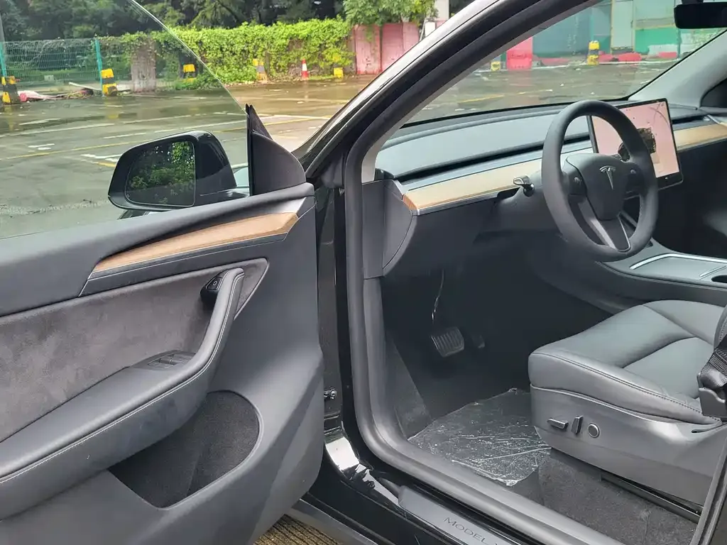 Tesla Model Y — фото 2