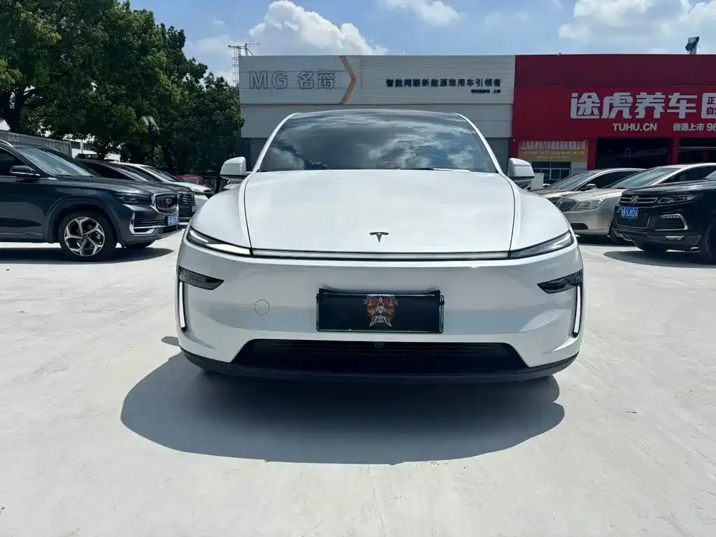 Tesla Model Y — фото 9