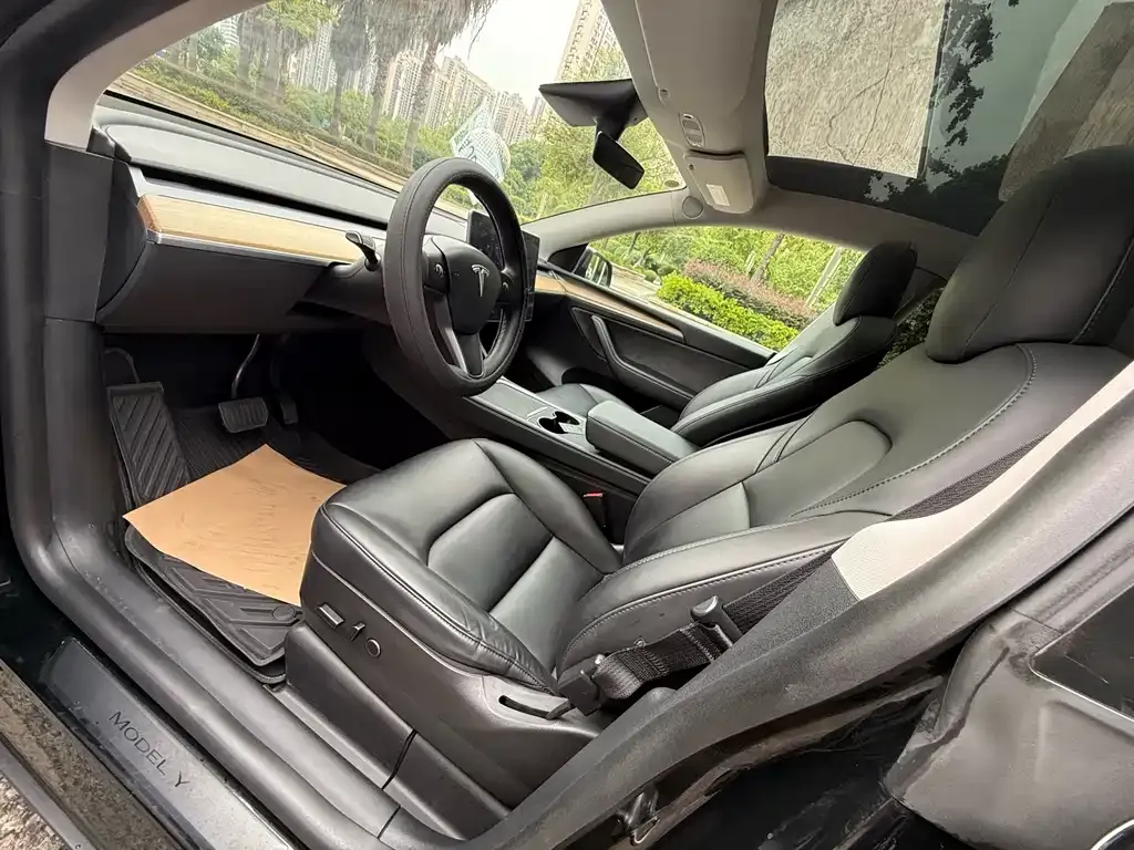 Tesla Model Y — фото 8